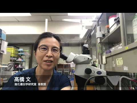 東京都立大学大学院　生命科学専攻　研究室紹介動画