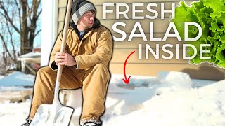 Fresh Salad BURIED in SNOW!
