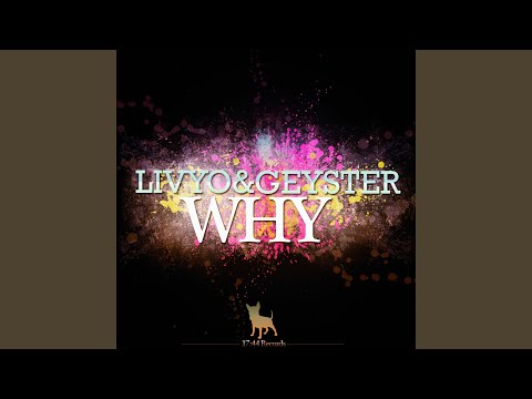 Why (Stephan Evans Remix)