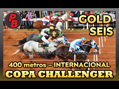 GOLD SEIS : INTERNACIONAL COPA CHALLENGER 2024 - HIPODROMO GRAL. BELGRANO, POSADAS (06-10-2024)