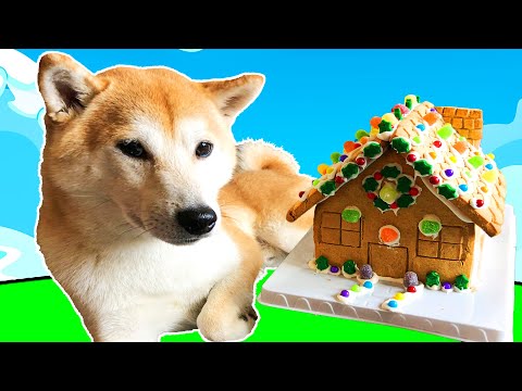 How to Build a Gingerbread House 🏠
