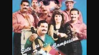 Edwin Colón Zayas y su Taller Campesino - Seis milonguero