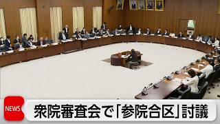 衆院憲法審 参院選合区巡り集中討議