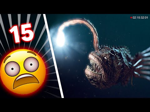 15 Strangest Creatures Found at the Bottom of the SEA 😨