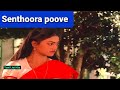 Senthoora Poove Ingu 1080p HD Video Song Sendhoora Poove Music Manoj Gyan S P B Sasirekha