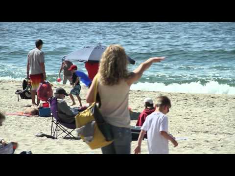 Taylor Neville: SoCal Beaches