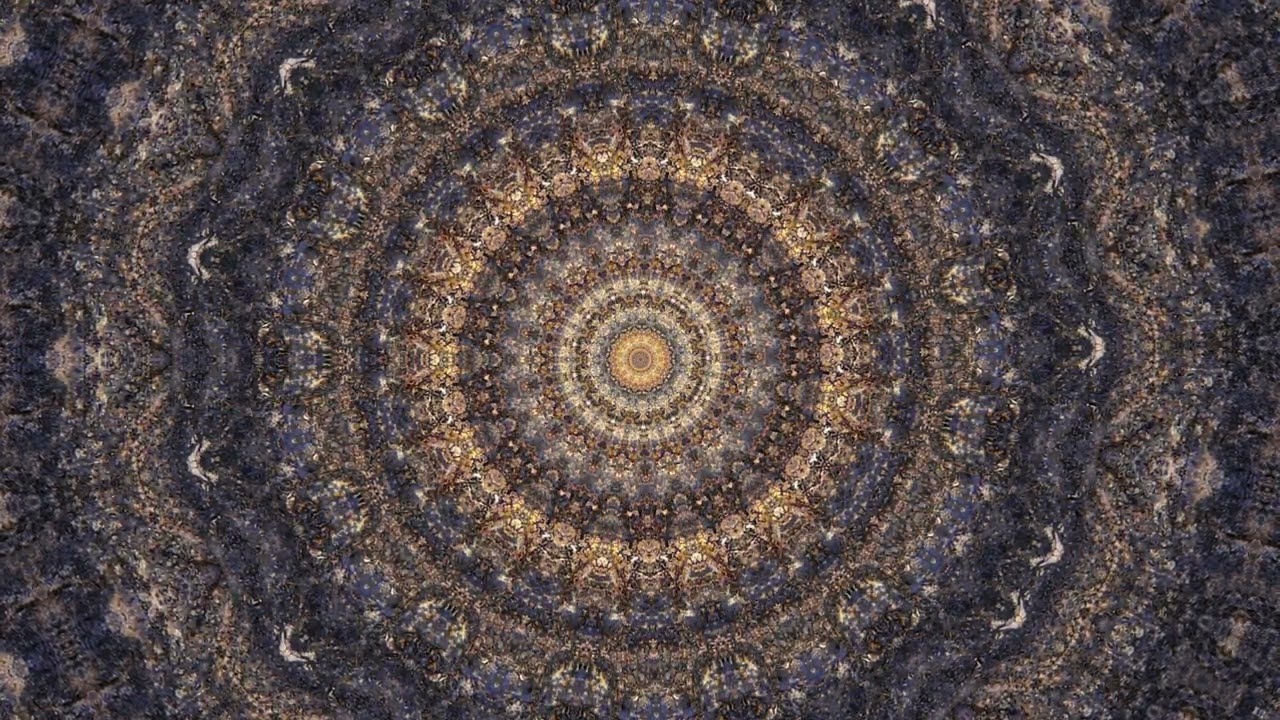 Surrender (Official Visualiser)