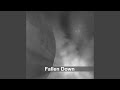 Fallen Down