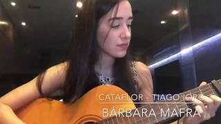 BÁRBARA MAFRA - CATAFLOR (TIAGO IORC)