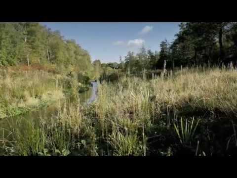 Das Generationenprojekt Emscher-Umbau