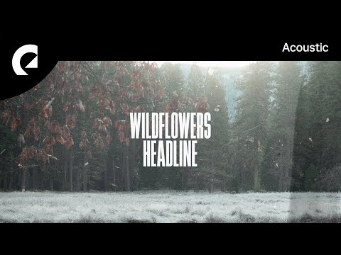 Wildflowers feat. Cara Dee - All Those Things We Did Back Then