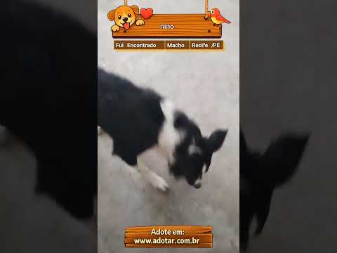 Vídeo de nino