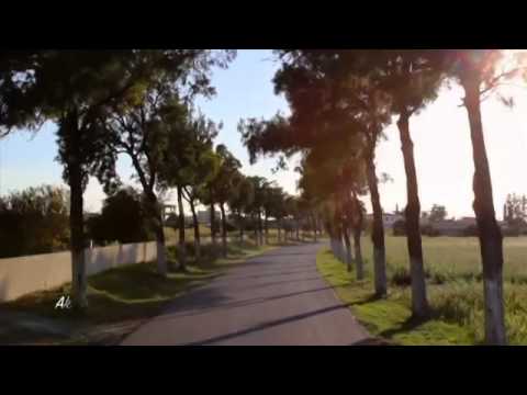 YENİBOĞAZİÇİ BELEDİYESİ CİTTASLOW HAREKETİ