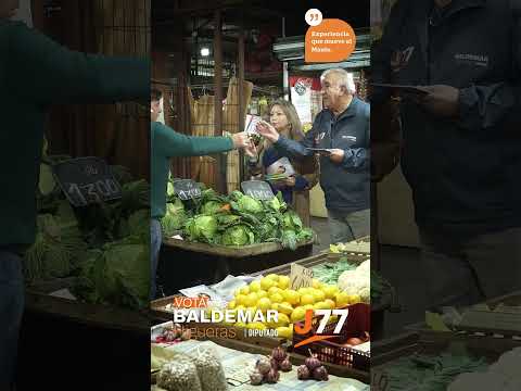 Baldemar Higueras Realiza Banderazo en la Feria Libre de Curicó