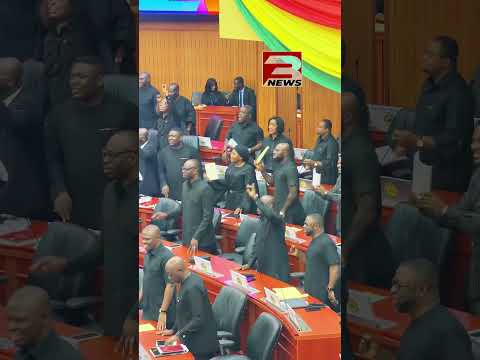 NPP, NDC MPs Trade Chants Over Wontumi and Ken Ofori-Atta After Budget Review