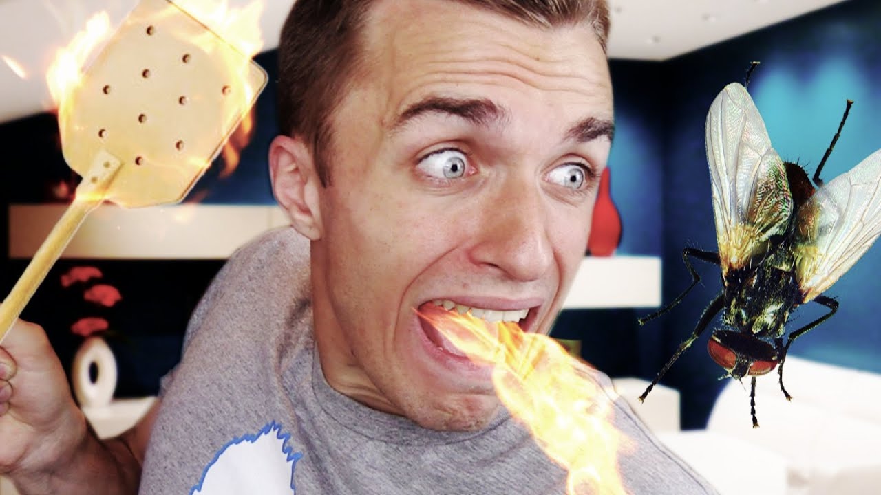 BRÛLE FRUIT DU DÉMON ! (Fly in the house) thumbnail