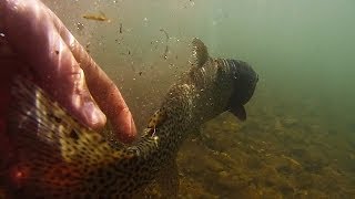 preview picture of video 'Fly fishing with nymphs for rainbow trout... GoPro HD video'