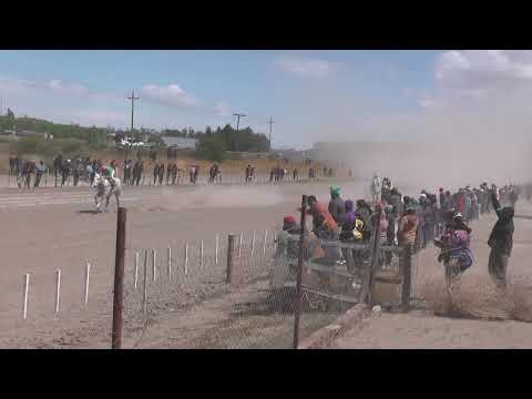 AGARRATE Club Hípico "El Chiripa" - Villa Regina - Rio Negro - 29-10-2023