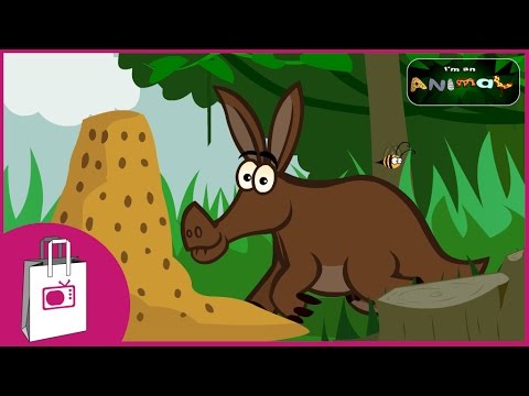 I'm an Aardvark