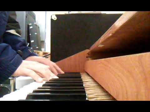 Piranha Plant's Lullaby on Celesta!