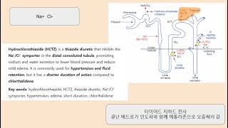 HCTZ, thiazide diuretic, Na⁺Cl⁻ symporter, distal tubule, hypertension, edema, short duration