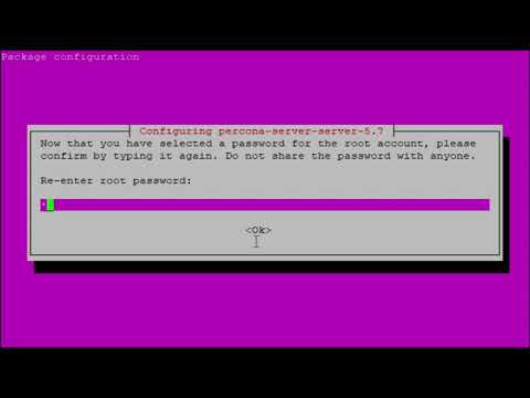 MariaDB vs MySQL SSD NVMe vs SATA Performance Discussions on the Percona Benchmark