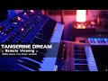 Live Stream #10 // Remote Viewing (Tangerine Dream Cover performance)
