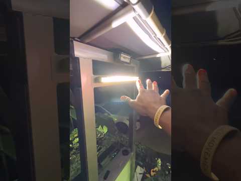This LED light bar is INSANE!!! @plashlights