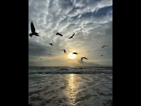 \Moonveil \ Raselhits 