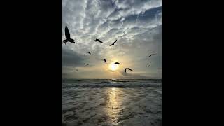 Download lagu 'Moonveil '                Raselhits  mp3