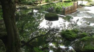 preview picture of video 'Lord's garden 平戸の「棲霞園 せいかえん」跡  Seikaen in Hirado'