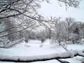 Doris Day ~~~ Let It Snow ! Let It Snow !