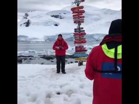 download lagu mp3 mp4 Ani South Pole, download lagu Ani South Pole gratis, unduh video klip Ani South Pole