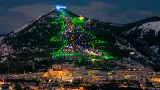 L'albero di Natale più grande del mondo è italiano e si trova in Umbria, a Gubbio