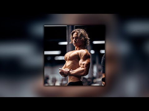 we go jim hardstyle playlist