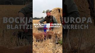 Bockjagd in Europa - Blattzeit in 🇫🇷 Teil 4! Ein @huntondemand Film