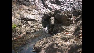 preview picture of video 'Aguacaliente Caramota Huajicori Nayarit'