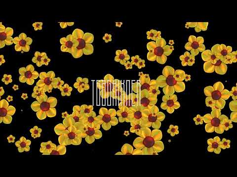 M'TIKO - TSAGHIKNER / 2020