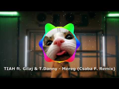 TIAH ft. Gilaj & T.Danny - Méreg (Csaba F. Remix)