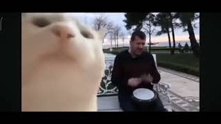 انشوده هنديه كافر كافر شيعه كافر