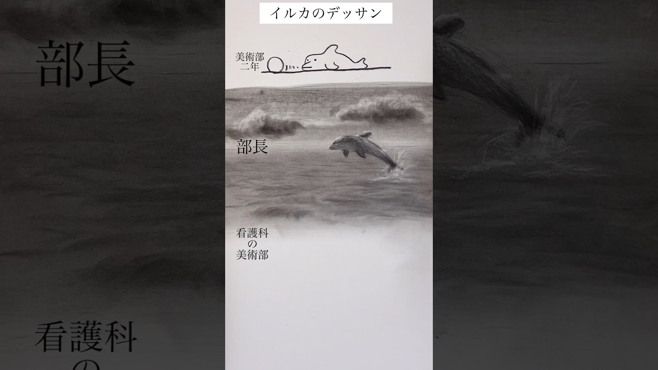 【架空の人物です。一人で描いてます】イルカのデッサン