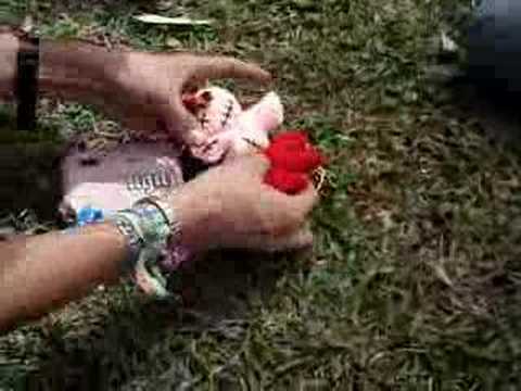 rasmus tutu vs. britney tutu