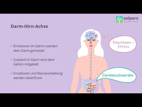 Der Darm als zweites Gehirn – CED und Darm-Hirn-Achse (Expertin erklärt)