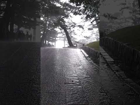 Sacred Portal #11 – Sudden Rain