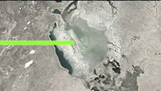 Watch and explore about Kevin(1997-2077) Steam CD Key