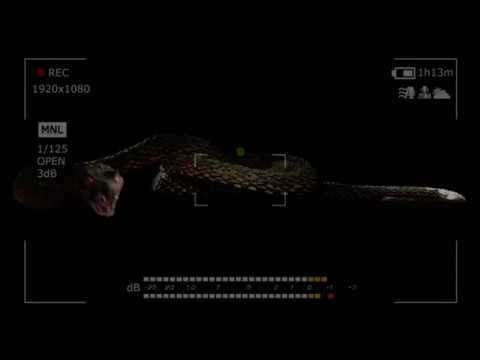 Sikdope vs Eptic&Carnage&Breaux&Crankdat vs Michael Sparks-End Of Snakes (It's Not Legal Mashup)