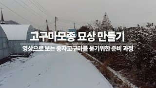 영상으로 보는 고구마모종 묘상 준비과정