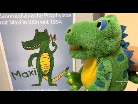 Zähneputzen mit Maxi