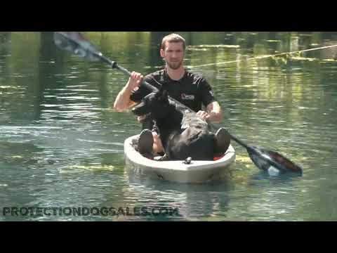 The Kayak May Be Wobbly But That Is Not Problem For "Fable"