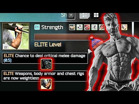 Elite Strength (Chance to deal critical melee damage, weightless) - ESCAPE FROM TARKOV 12.12 EFT